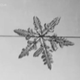 Illustration for article titled Watch Man Grow Snowflakes for the First Time
